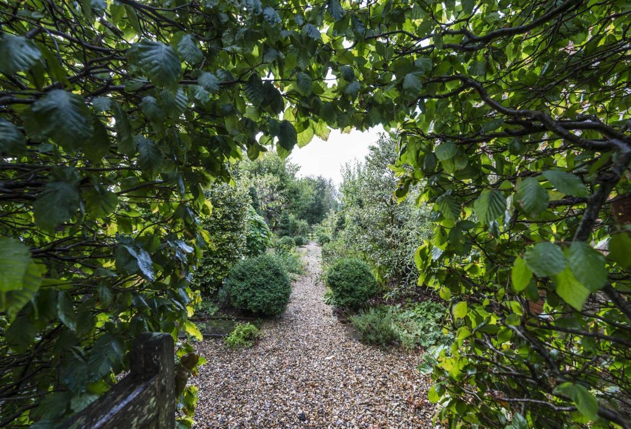 Hearn Lodge Nether Stowey ภายนอก รูปภาพ