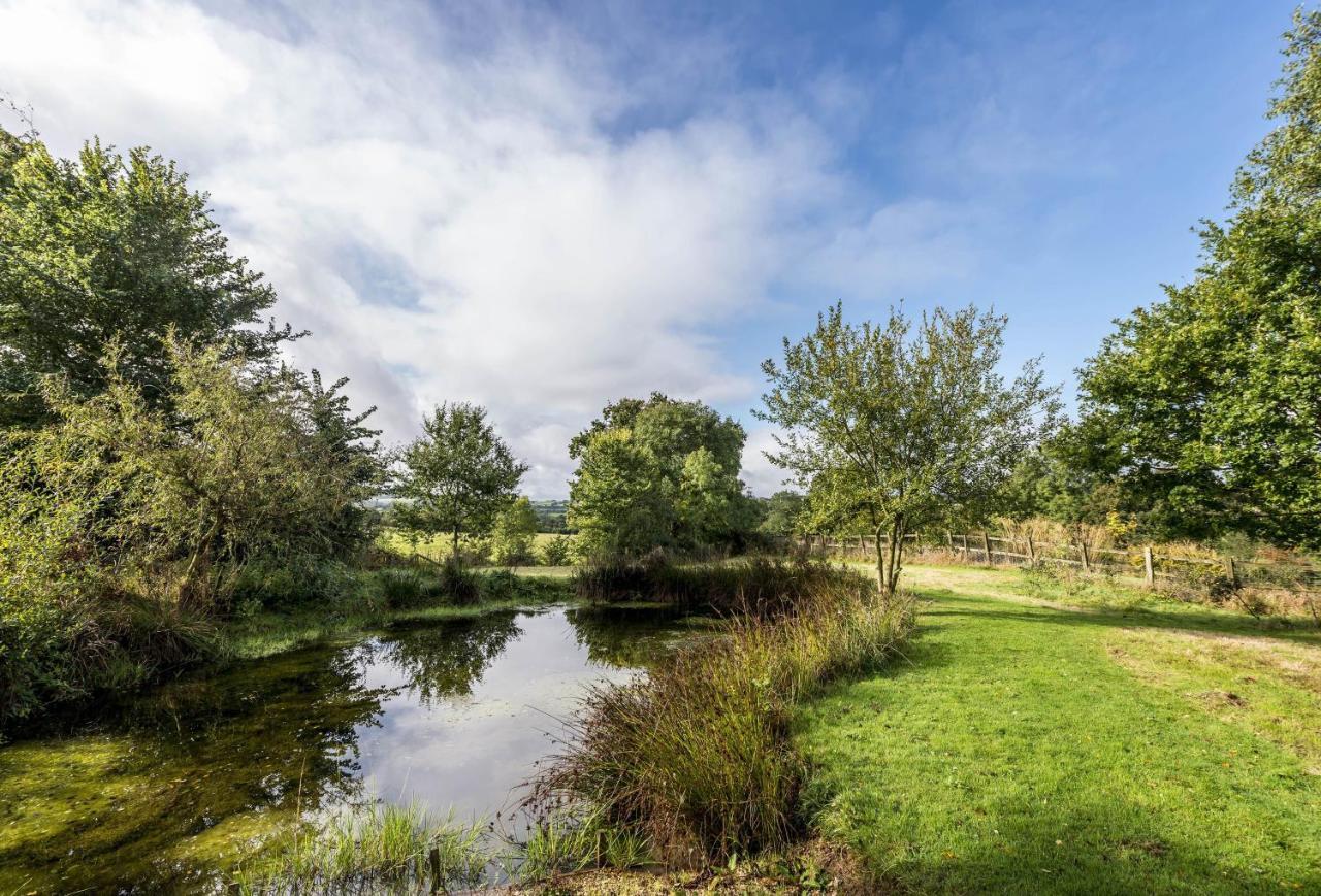 Hearn Lodge Nether Stowey ภายนอก รูปภาพ
