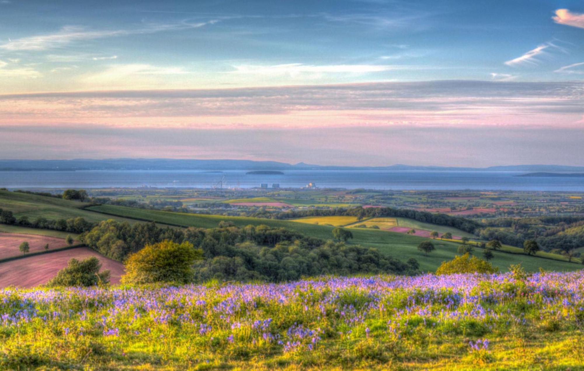 Hearn Lodge Nether Stowey ภายนอก รูปภาพ