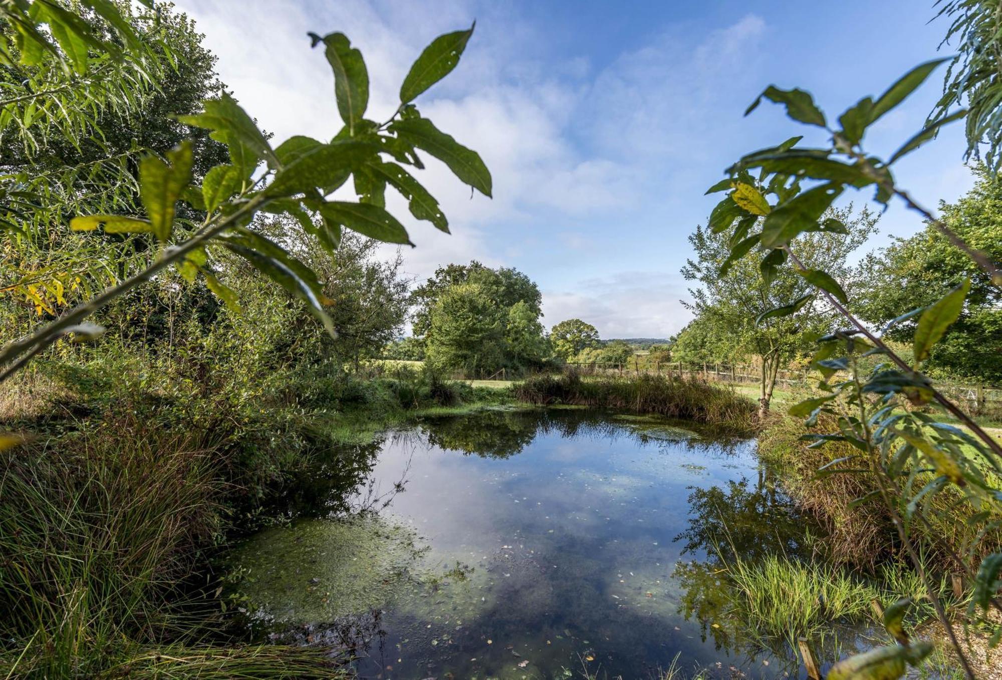 Hearn Lodge Nether Stowey ภายนอก รูปภาพ